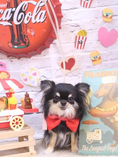 20230923プリンちゃん